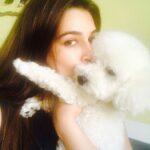 Kriti Sanon Instagram – Totally gonna ditch the Pataka this Diwali for my lil Pooch- Disco!! 🐶 love the initiative @aliaabhatt !! ❤️ I am choosing #poochoverpataka , what about you guys?! Have a cracker-free & safe Diwali! 💃🏻❤️🙏🏻✨