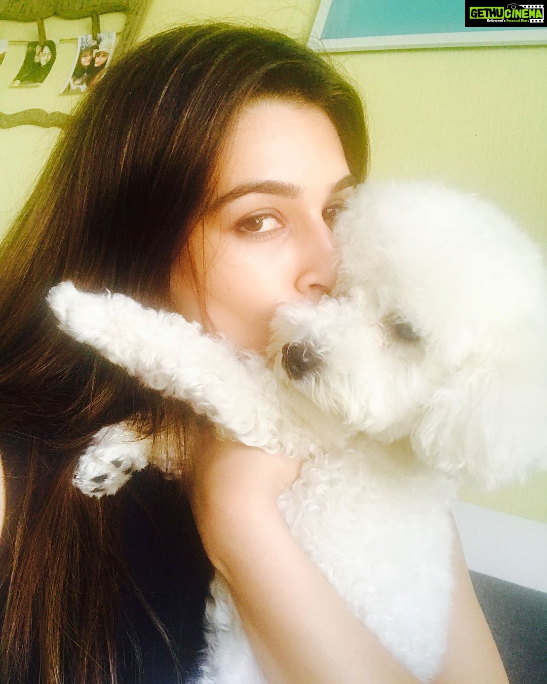 Kriti Sanon Instagram - Totally gonna ditch the Pataka this Diwali for my lil Pooch- Disco!! š¶ love the initiative @aliaabhatt !! ā¤ļø I am choosing #poochoverpataka , what about you guys?! Have a cracker-free & safe Diwali! šš»ā¤ļøšš»āØ