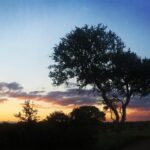 Kriti Sanon Instagram - When u just stop to absorb the beauty of nature in silence.. Surreal! Bye bye #SouthAfrica !! Gonna miss this beautiful place.. ❤️❤️