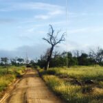 Kriti Sanon Instagram - Morningss like this😍😍❤️ #malamalagamesreserve #southafrica