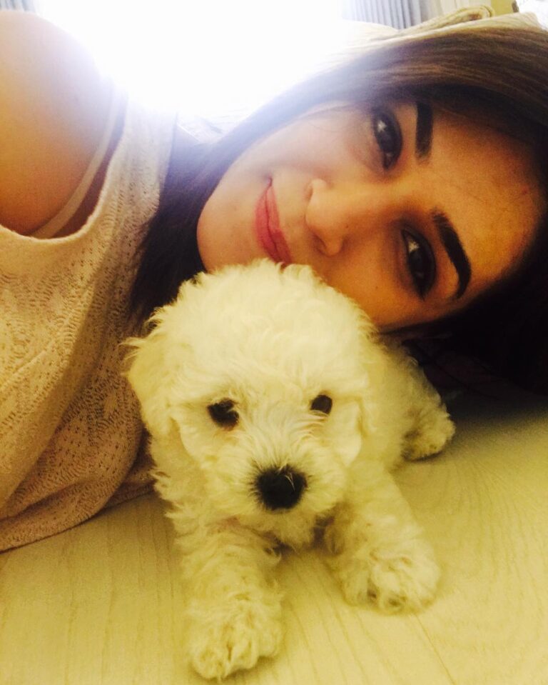 Kriti Sanon Instagram - Meet DISCO❤️❤️ new and the cutest member of my family!! #munchkin #puppylove