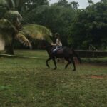 Kriti Sanon Instagram – ❤️🐎 #Mauritius