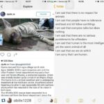 Kriti Sanon Instagram – #Repost @obilix1228 with @repostapp.
・・・
I am just so sick of what the human race has become, i am sick and ashamed of being a part of this race, i am sick that no one cares but talks, i am sick that we dont educate our children and adults alike, i am sick that everyones okay with it, i am sick that we are so selfish that we only care about our things, i am sick that we don’t give a damn. 
#save #wildlife #protect #respect #share #love #punish #animal #animals #animallovers #ourplanetdaily #instagram #instagood #instadaily #instalike #instamood #instaanimal #heina #delicate #ecology #balance #ourplanetdaily
