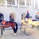 Kriti Sanon Instagram – From the horse cart to the rose petal shower and the amazing hospitality.. Loved it all! Thank u #TajFalaknuma