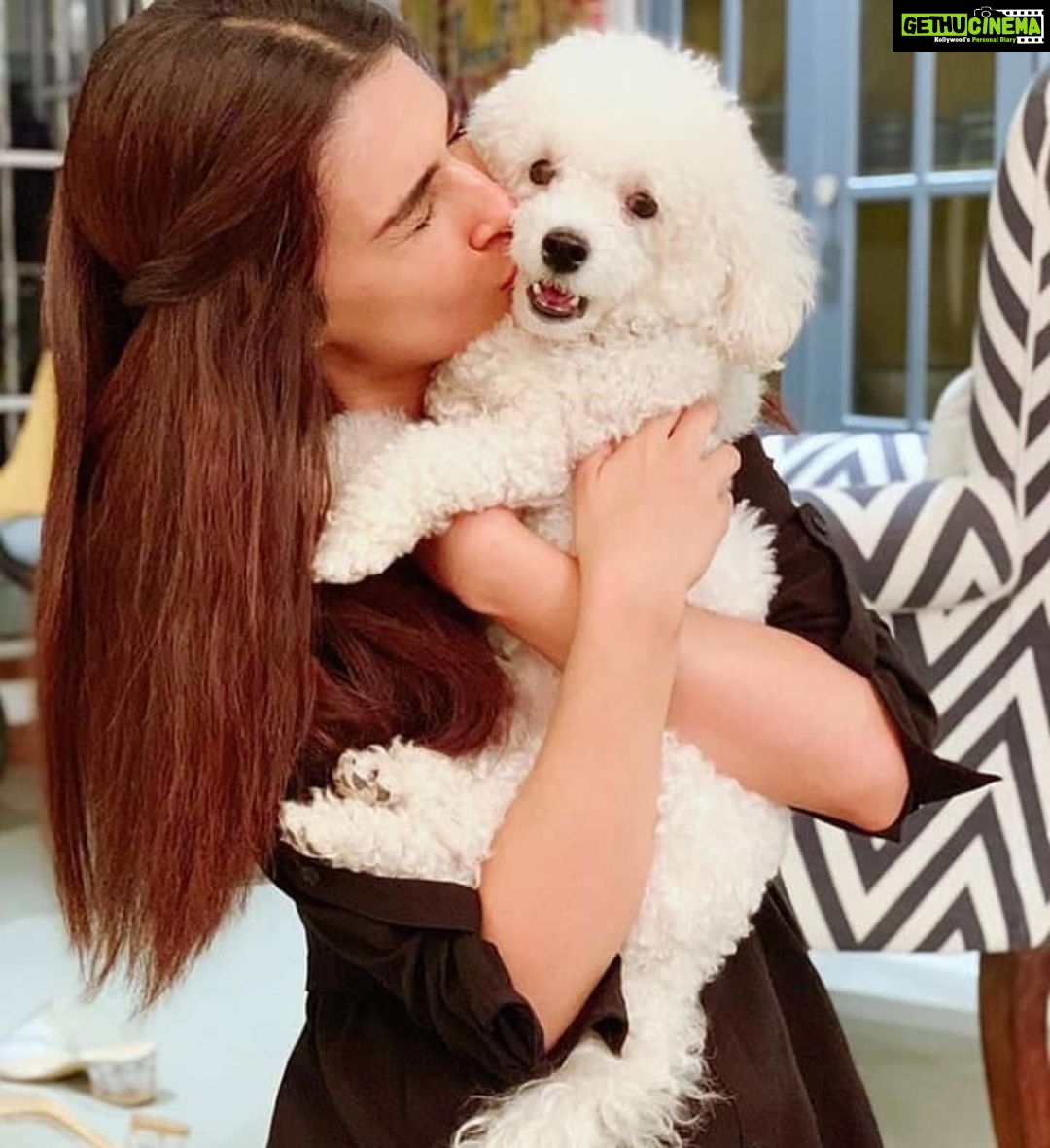 Kriti Sanon Instagram - Happiesttt Birthday my Disco Ball!! πππ₯³π₯³ my munchkin , my fur-ball, my handsomest pawsomest baby! I love you like i woof you! πΆβ€οΈ