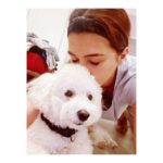 Kriti Sanon Instagram – Pawsome moments! 🐾 💞 🐶 always a #CuddlePerson #Disco 
P.S. Pets can’t carry or contain the Covid-19 virus! So stay calm, give them love and spend some time with your PAWsome munchkins! 💓💞 #SpreadLove #StayPositive #StayHome