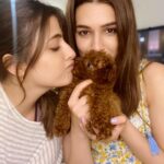 Kriti Sanon Instagram - PHOEBE 🐶!! Meet the new member of our family!! She is adooorraabbbllee!! 😍🥰❤️ Disco has a new friend at home.. Girlfriend or Sister— yet to be decided!🤪🤪 @nupursanon