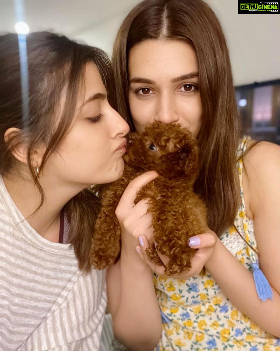 Kriti Sanon Instagram - PHOEBE 🐶!! Meet the new member of our family!! She is adooorraabbbllee!! 😍🥰❤️ Disco has a new friend at home.. Girlfriend or Sister— yet to be decided!🤪🤪 @nupursanon