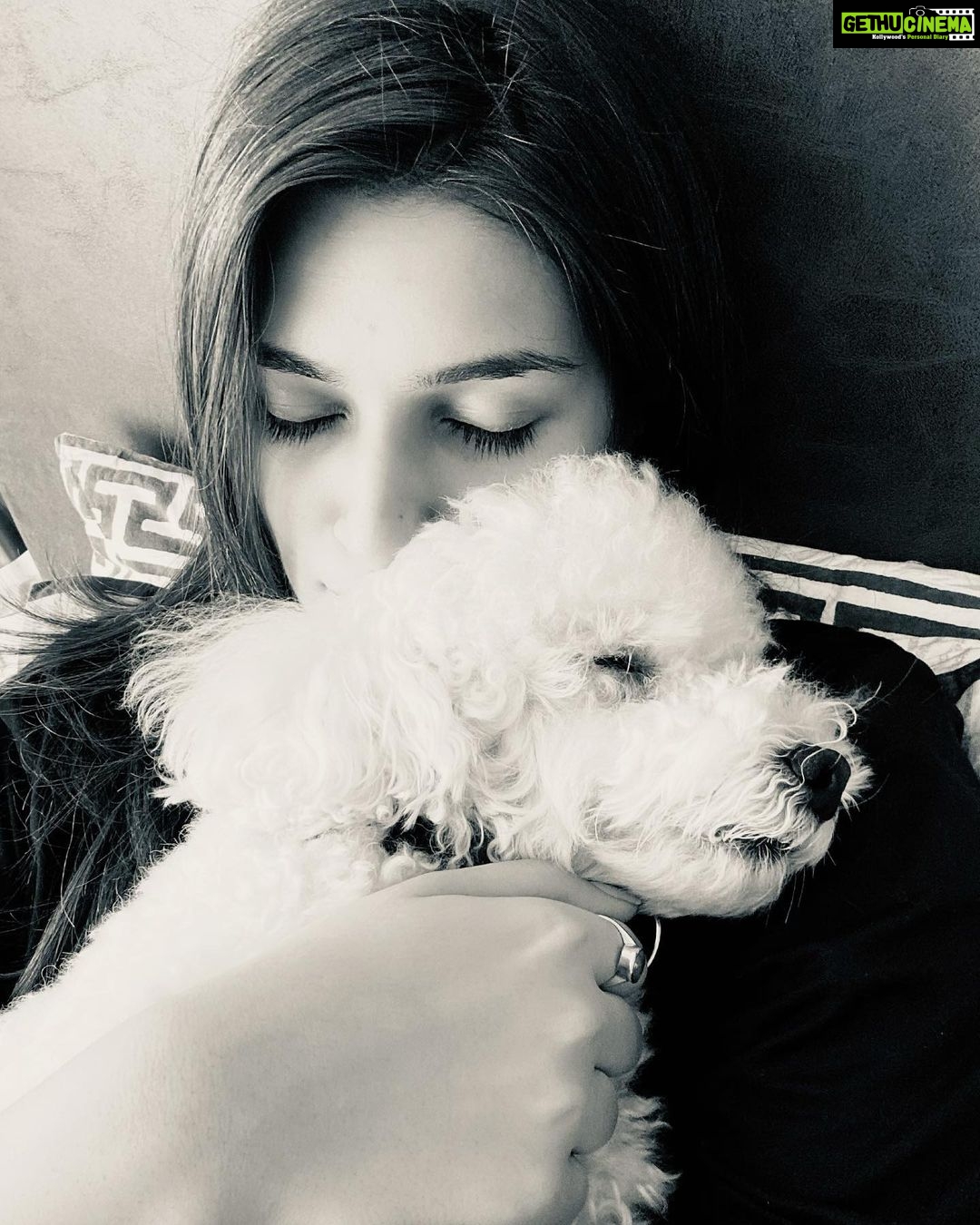 Kriti Sanon Instagram - Day1 of 2020! 🥰 Here’s to cuddles and a lot of pure genuine Love! ❤️❤️ #Disco #bestfeeling