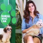 Kriti Sanon Instagram - I met #Butter and #Jelly yesterday and all I can do right now is think about them! ❤ Thank you @iams_india for inviting me and making me a part of your launch in India! It's so nice to hear that there is a brand that talks about #TailoredNutrition for pets! After all every pet and every dog has different nutrition needs... just like us... no? I cannot wait for Disco to try the #IAMS products! #IAMSWhoIAm #UniqueBest