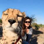 Kriti Sanon Instagram - He wanted a selfie!! Couldn’t say no.. 🤷‍♀️🐆🤣 #Zambia