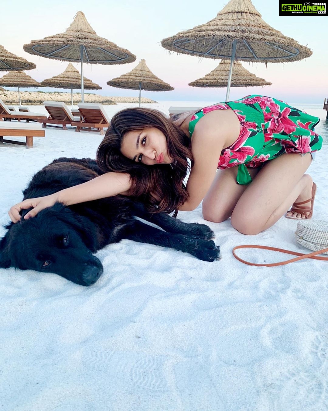 Kriti Sanon Instagram - And i found my date for the trip! ππMeet Nero! Lazy like me, loves cuddles & has the purest hazel eyes that just need Love! ππ @vishakhawadhwani #Antalya #Turkey