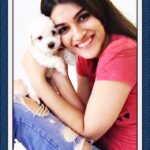 Kriti Sanon Instagram – Throwback to my 1st pic with this lil fur-ball of mine!! ❤️ When Disco came into my life and lit it all up with his adorable naughtiness & loving licks!!🐶
My “come and stay” in this world of “people come and go”!! #HappyNationalPetDay #Disco #Munchkin 🐶💙💙