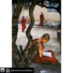 Lisa Ray Instagram - Repost from @stevemccurryofficial using @RepostRegramApp - “We live, in fact, in a world starved for solitude, silence, and private: and therefore starved for meditation and true friendship.” ― C.S. Lewis, “The Weight of Glory” Monk Reads Under Tree. #Loikaw, #Myanmar, 1995. #SteveMcCurry