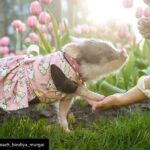 Lisa Ray Instagram - Repost from @life_coach_bindiya_murgai using @RepostRegramApp - Fluffy the Therapy Pig playing in pink tulips is bound you bring a smile to your lockdown-face. Fluffy is part of the Khalizoo Zootherapy team, a group of animals that help support individuals and groups struggling with emotional, psychological, social or physical difficulties. If you have not had an animal or loved one ever in your life, then you have yet to experience the incredible vastness, joy and purity of love. Enjoy the Montreal-based photographer Chantal Levesque's images of this adorable piglet playing in a field of pink tulips, and be therapized. Read More...https://bit.ly/2XNhKnI #animaltherapy #TherapyPig #Khalizoo #Zootherapy #ChantalLevesque #animallove #therapy #healinghideaway #mentalhealth #covid19 #coronavirus #love #happiness #mindfulness #lockdown #depression #anxiety #EarthDay2020 #animallovers #animalphotography #mentalhealthawareness #depressionhelp #therapyanimals #bindiyamurgai #counselling #lifecoach #meditation
