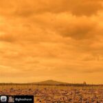 Lisa Ray Instagram - Here’s an unfiltered photo to digest (where’s the apocalypse emoji) Repost from @ghoshuvo using @RepostRegramApp - This is very very not good. Smoke from Australia’s fires covering the skies of Auckland. 💔🙏🏼