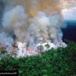 Lisa Ray Instagram – Repost from @priyankabose20 using @RepostRegramApp – This is a worst case scenario right here. Serving 20% of the worlds oxygen, it’s been on fire for 16 days and no media has reported. My heart is bleeding right now.