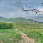 Lisa Ray Instagram - When a later call time presents an opportunity for exploration and a nature walk around the grounds of @theoberoiudaivilas on the banks of #LakePichola you grab it. Result: a glimpse of fields of lotus blossoms, new feathered friends, wildlife encounters, and a deepened awareness of the harmony that is available to all of us in nature. Hint: seek out the service road