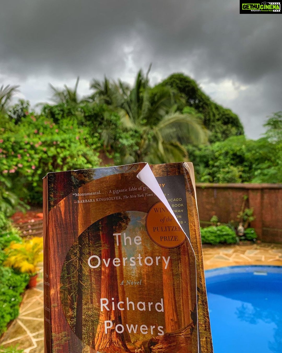 Lisa Ray Instagram - Every single line of this book devastates. The most urgent, incisive, beautifully written novel. A breakthrough in the way one understands the world. Delivered in cutting prose exactly when we need it most. Thank you @karunaezara for recommending. Don’t miss reading this unforgettable and essential fable for our times. #Overstory #RichardPowers