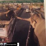 Lisa Ray Instagram - Repost from @mariagorettiz using @RepostRegramApp - This broke my heart 💔 . #Repost @wildpassengers with @get_repost ・・・ This picture was taken somewhere on the Indian highway where two elephants reach out to each other in a brief moment of love and bonding before being separated from each other for a lifetime of serving man. It’s well known that elephants value their family structure, perhaps more so than many other animals so when they get separated like this they feel immense sadness and pain. And despite scientists finding that elephants are capable of complex thought and deep feeling, they are being killed at an unprecedented rate (by some estimates up to 100 elephants are killed per day) or to be sold as slave labor to be used hauling logs in forest operations or in entertaining and giving rides to tourists. Those unable to work are killed for their meat, body parts and ivory as roughly 90% of African elephants have been killed in the past century and the number of Asian elephants has declined by at least 50% in the last three generations alone. We MUST put an end to this beautiful species’ suffering so please share this post with your followers and tag people, especially unaware celebrities, who need to see it in the comments below! By spreading massive awareness about this sad situation, we can turn things around and come up with potential solutions to save the elephants before it’s too late as at the current rate, they are set to become extinct in the next decade or so if nothing is done! Follow @wildpassengers for more!👈 - Tag someone that should see this!👇 📸 🎥 Thank you @karmagawa for posting this type of stuff!❤️, via @wildpassengers - #earth #instagood #earthpix #photography #travels #wildandplanets #wildpassengers #love #travel #nature #geography #animals #wildlifepassengers #natgeo #discover #worldwide #wildlifeisanimals #planetwildlifeanimals #instagram #planetnatureanimals #wildlife