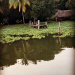 Lisa Ray Instagram – In your dreams.
#Kerala