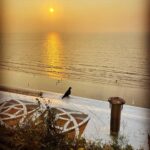 Lisa Ray Instagram – Mumbai magic as observed through the eyes of a pigeon