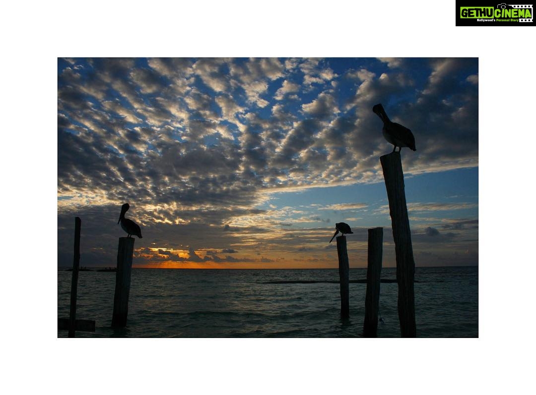 Lisa Ray Instagram - The world is so fucking beautiful and I’m so privileged to have experienced so much of it’s magic. Like this new year’s sunset in Tulum, Mexico with my then beau Jason Dehni, just before I missed my flight to Delhi. Long story. But that doesn’t matter. What matters is this timeless vision: ocean in the sky, clouds like coral, aerial bodies weighing on my shoulders and honey tongued love holding it all together. Tulum Beach