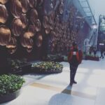Lisa Ray Instagram - I just love seeing people pose for photos in front of the majestic installation in Delhi airport. These tourists appear to be pahadi people. I imagine it’s possible to become weary of soaring peaks and mountain views. But I believe I could trade in city life for mountain life with ease.
