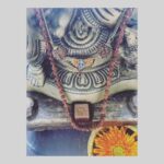 Lisa Ray Instagram - Our Ganesha likes #Sprungli #happyganeshchaturthi🙏 #chocolateofferings
