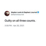 Lisa Ray Instagram – Posted @withregram • @elephantjournal “For the first time in Minnesota state history, a white police officer has been held accountable for killing a Black man.” ~ ACLU⁠
⁠
⁠
Deep exhale. Relief. A mournful joy. ⁠
⁠
Victory for truth is not a small victory. Now let’s work, together, to reform the system for all of us, for truth, for justice, for equality, for love. ⁠
⁠
Because the verdict of one case (when there are dozens a week that get little attention) is important, but it is not nearly enough. ~ @waylonlewis⁠
⁠
👉🏼 Read: “These days, a victory for truth is not a small victory” on elephantjournal.com (linked in our bio).⁠