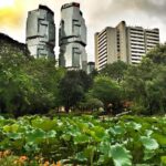 Lisa Ray Instagram - Lily pads and the #Lippo Can you contain it all? Of course. We are built to hold all the curiosities of this world...and more. #hongkong Hong Kong