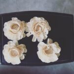 Lisa Ray Instagram - My home courtesy @thepostcarder Jasmine, lotus and #champak flowers. Appreciate them all. Bandra World of Storytellers