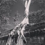 Lisa Ray Instagram - #TaProhm #SiemReap #Cambodia #timeless #Travelista