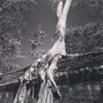 Lisa Ray Instagram – #TaProhm #SiemReap #Cambodia #timeless #Travelista