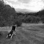 Lisa Ray Instagram - #Soleil under a Tuscan sun #LeonieWedsMario #Italy