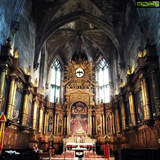 Lisa Ray Instagram - The #baroque splendiferousness of this #Avignon church can't be stated...it has to be experienced along with the spicy scent of incense when you enter. Interesting fact: Jesus is represented by the bird figure as there was a brief period when he could not be represented in a human form #Avignon #France #Provence Avignon, France