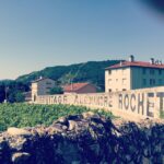 Lisa Ray Instagram - In case you didn't know this is my vineyard, I will blaze its name across this fence..: #RhoneValley #vineyard #France