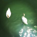 Lisa Ray Instagram - Swanning around the South of France, following the fingerprints of famous artists like Cezanne, Matisse and Chagall who were taken by the golden light of #Provence #France #boattripping #Travelista