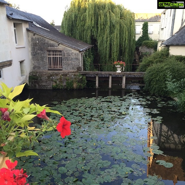 Lisa Ray Instagram - Imagine #Monet would have set down his easel here to paint the water lilies in #Langeais #France #LoireValley