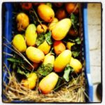 Lisa Ray Instagram - Did someone say #Mangos? #alphonso #mangos #Mumbai
