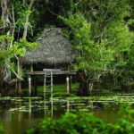 Lisa Ray Instagram - #Ulpotha in #SriLanka has been a retreat site for thousands of years and hosts one of the world'so best yoga holidays. Thanks to @charleneklo, I've got my annual reset vacation destination. #Yoga #Retreat #SriLanka #WelnessVacation