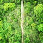 Lisa Ray Instagram – As observed from our crystal cable car, our next hike to #BigBuddha. #HongKong #Lantau