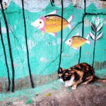 Lisa Ray Instagram - Me love kitty Kat. #katArt #Mumbai