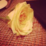 Lisa Ray Instagram - So often the smallest gesture highlights the humanity in the chaos of our lives. This flower, handed over with smiling eyes and a prayer for good health by a waiter at the #FourSeasonsHotelMumbai has made my day!