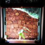 Lisa Ray Instagram – Through a window.