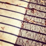 Lisa Ray Instagram - #fallen #fall #Travelistaeyes
