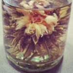 Lisa Ray Instagram - Chinese Blooming tea. If you've never dropped one of these pods and observed it bloom in hot water, find thee a package.