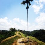 Lisa Ray Instagram - The Campuhan Ridge Walk is one of Ubud's best kept secret. Another secret: don't tackle the scenic hike at noon without hydration, like we did.