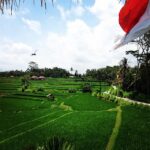 Lisa Ray Instagram - Somewhere in a rice paddy, the dreamers dream, but is it the flag moving, or the mind moving? #Ubud #Bali