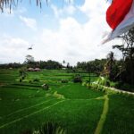 Lisa Ray Instagram – Somewhere in a rice paddy, the dreamers dream, but is it the flag moving, or the mind moving? #Ubud #Bali